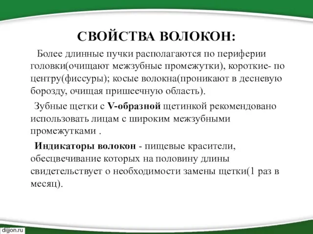 СВОЙСТВА ВОЛОКОН: Более длинные пучки располагаются по периферии головки(очищают межзубные