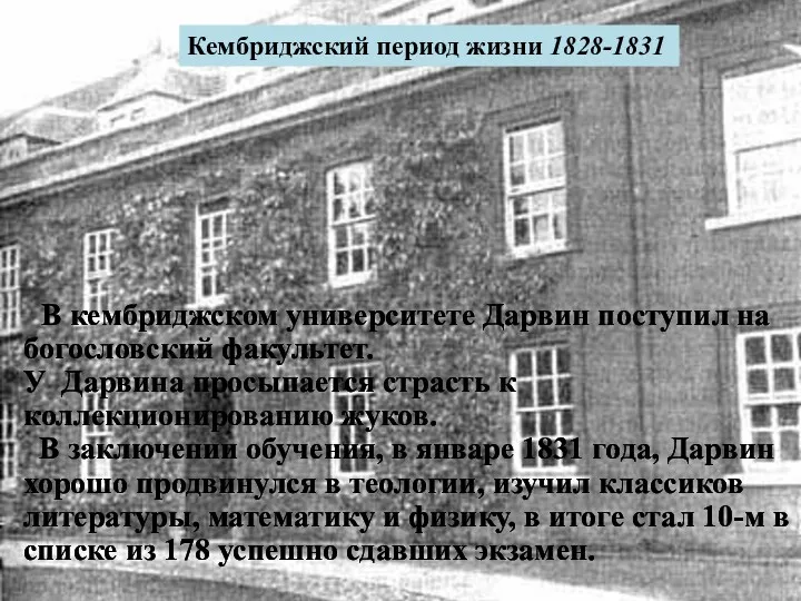 В кембриджском университете Дарвин поступил на богословский факультет. У Дарвина