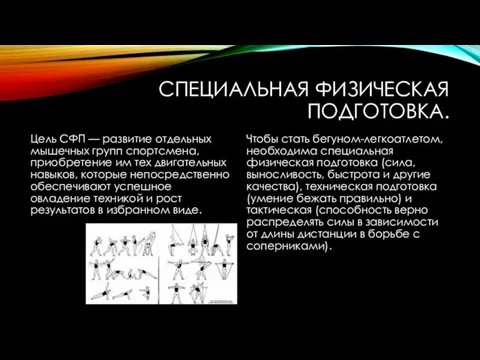 СПЕЦИАЛЬНАЯ ФИЗИЧЕСКАЯ ПОДГОТОВКА. Цель СФП — развитие отдельных мышечных групп