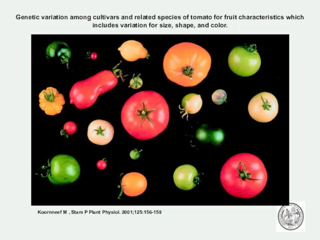 Genetic variation among cultivars and related species of tomato for