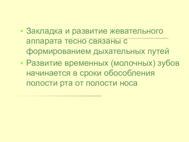 Закладка и развитие жевательного аппарата тесно связаны с формированием дыхательных