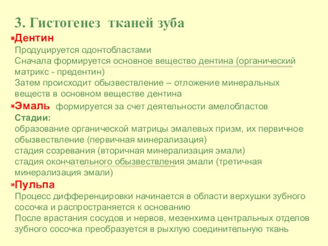 3. Гистогенез тканей зуба Дентин Продуцируется одонтобластами Сначала формируется основное