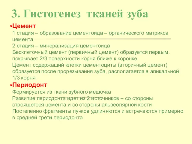 3. Гистогенез тканей зуба Цемент 1 стадия – образование цементоида