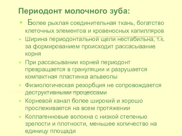 Периодонт молочного зуба: Более рыхлая соединительная ткань, богатство клеточных элементов