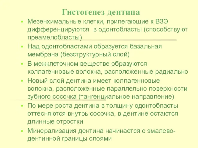 Гистогенез дентина Мезенхимальные клетки, прилегающие к ВЗЭ дифференцируются в одонтобласты