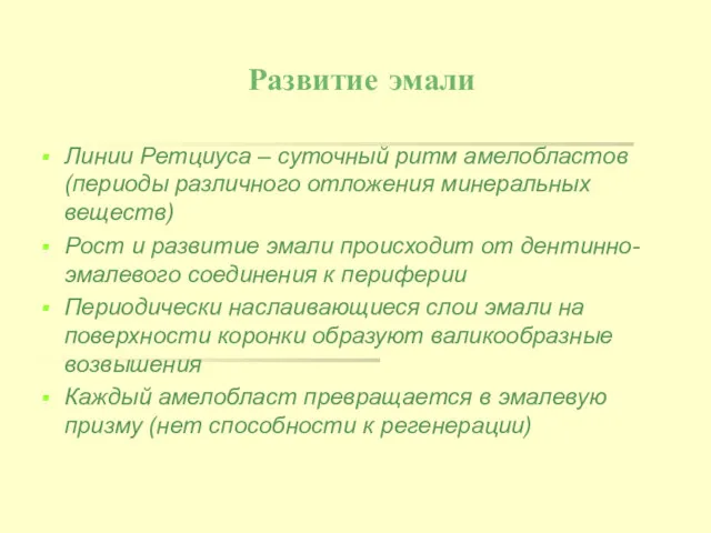 Развитие эмали Линии Ретциуса – суточный ритм амелобластов (периоды различного