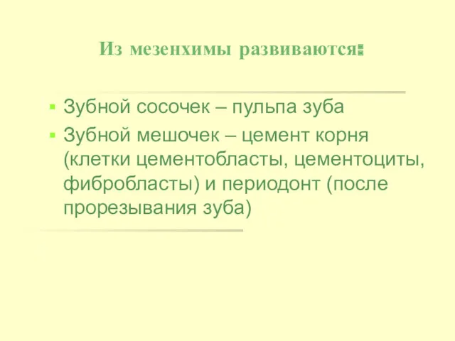 Из мезенхимы развиваются: Зубной сосочек – пульпа зуба Зубной мешочек