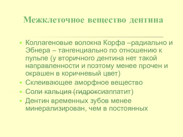 Межклеточное вещество дентина Коллагеновые волокна Корфа –радиально и Эбнера –