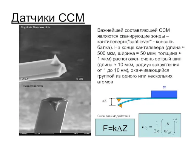 Датчики ССМ Важнейшей составляющей ССM являются сканирующие зонды – кантилеверы("cantilever" - консоль, балка).