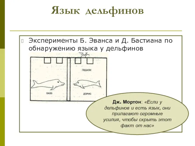 Язык дельфинов Эксперименты Б. Эванса и Д. Бастиана по обнаружению