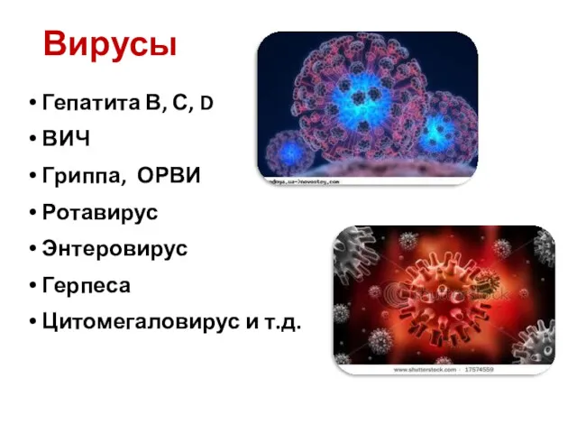 Вирусы Гепатита В, С, D ВИЧ Гриппа, ОРВИ Ротавирус Энтеровирус Герпеса Цитомегаловирус и т.д.