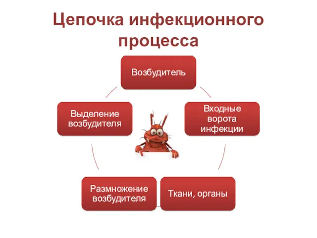 Цепочка инфекционного процесса