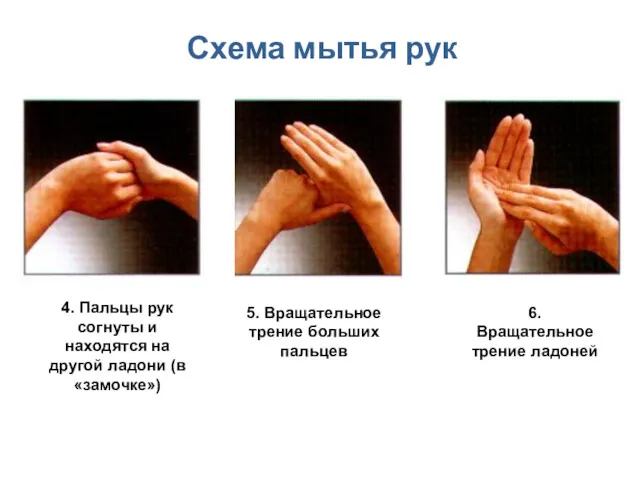 Схема мытья рук 4. Пальцы рук согнуты и находятся на