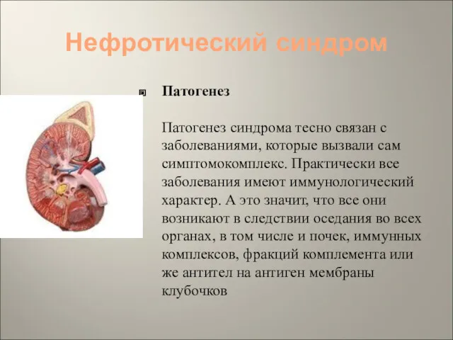 Нефротический синдром Патогенез Патогенез синдрома тесно связан с заболеваниями, которые