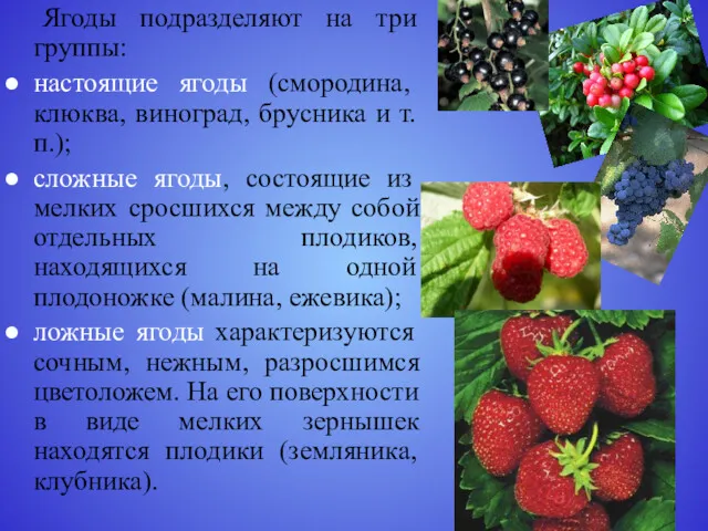 Ягоды подразделяют на три группы: настоящие ягоды (смородина, клюква, виноград,