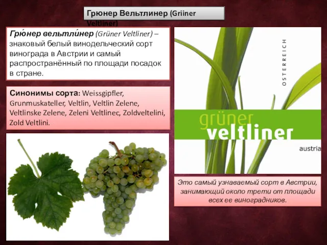 Грюнер Вельтлинер (Griiner Veltliner) Грю́нер вельтли́нер (Grüner Veltliner) – знаковый