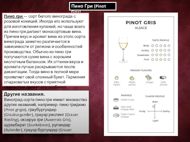 Пино Гри (Pinot Gris) Пино гри — сорт белого винограда