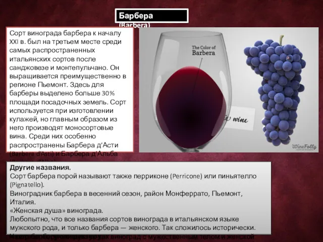 Барбера (Barbera) Сорт винограда барбера к началу XXI в. был