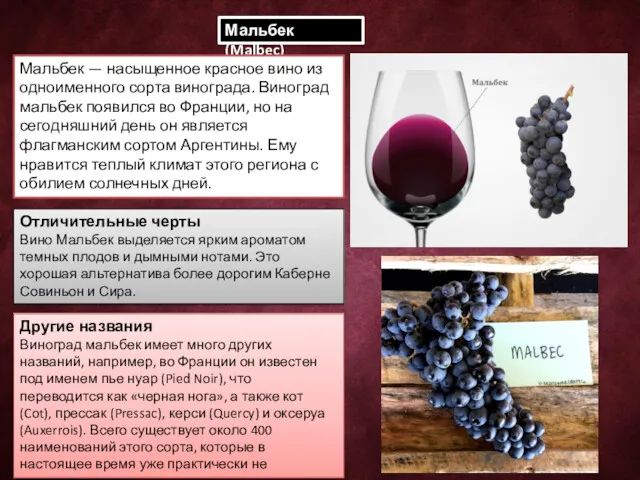 Мальбек (Malbec) Мальбек — насыщенное красное вино из одноименного сорта