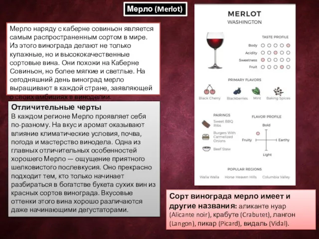 Мерло (Merlot) Мерло наряду с каберне совиньон является самым распространенным