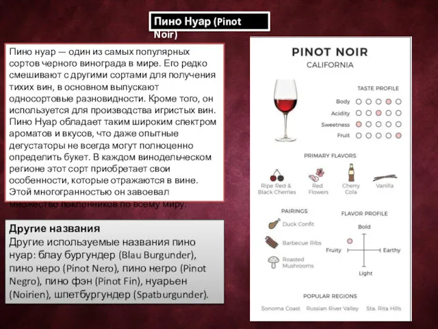 Пино Нуар (Pinot Noir) Пино нуар — один из самых