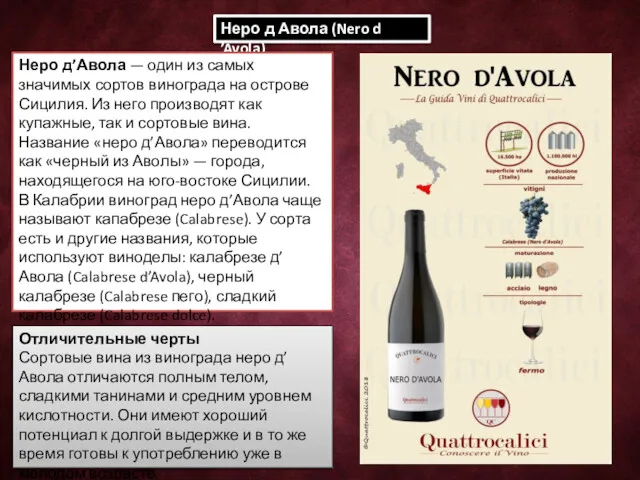 Неро д Авола (Nero d ’Avola) Неро д’Авола — один