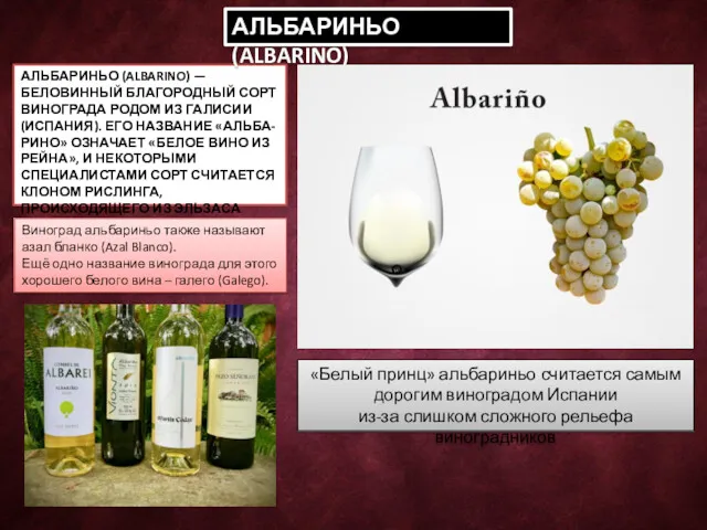 АЛЬБАРИНЬО (ALBARINO) — БЕЛОВИННЫЙ БЛАГОРОДНЫЙ СОРТ ВИНОГРАДА РОДОМ ИЗ ГАЛИСИИ