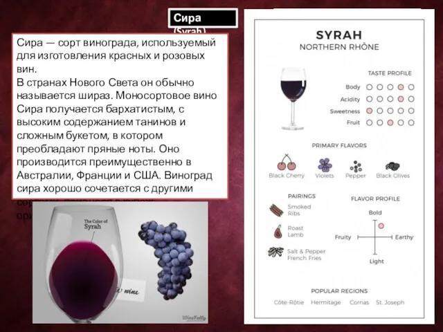 Сира (Syrah) Сира — сорт винограда, используемый для изготовления красных