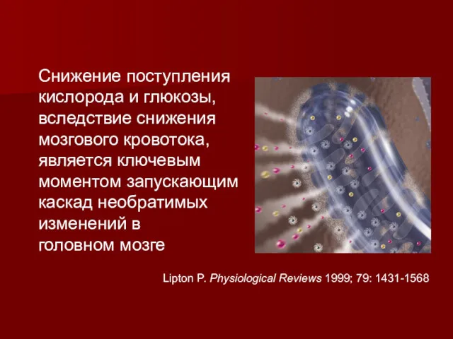 Снижение поступления кислорода и глюкозы, вследствие снижения мозгового кровотока, является