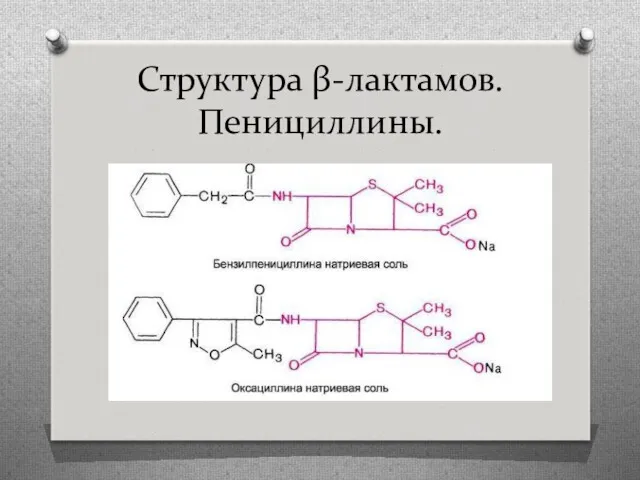 Структура β-лактамов. Пенициллины.