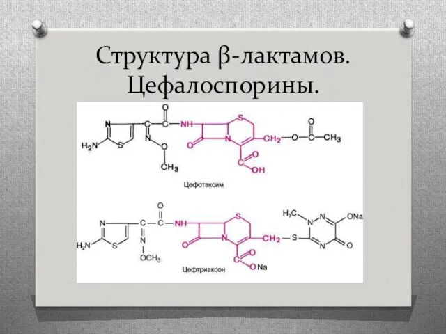 Структура β-лактамов. Цефалоспорины.