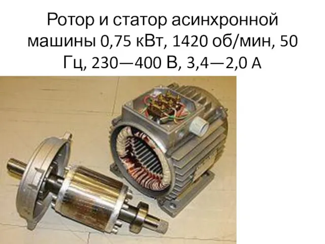 Ротор и статор асинхронной машины 0,75 кВт, 1420 об/мин, 50 Гц, 230—400 В, 3,4—2,0 A
