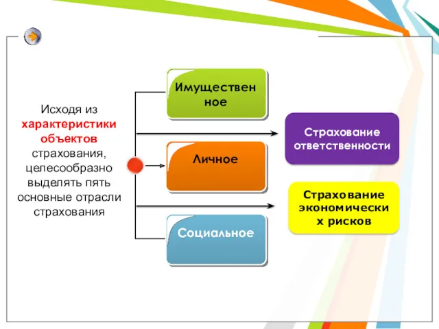 Страхование ответственности Страхование экономических рисков