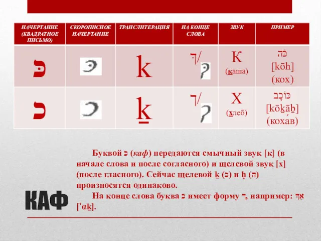 КАФ Буквой כ (каф) передаются смычный звук [к] (в начале