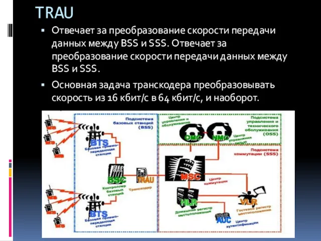 TRAU Отвечает за преобразование скорости передачи данных между BSS и