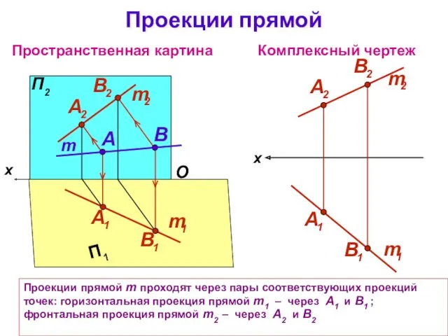 Проекции прямой m проходят через пары соответствующих проекций точек: горизонтальная