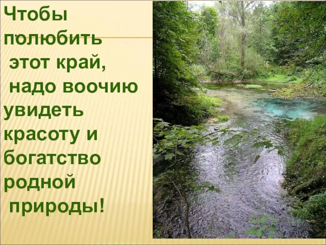 Чтобы полюбить этот край, надо воочию увидеть красоту и богатство родной природы!