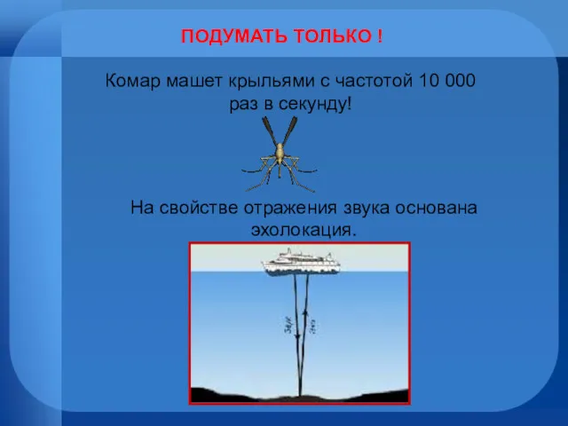 ПОДУМАТЬ ТОЛЬКО ! Комар машет крыльями с частотой 10 000