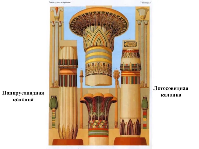 Папирусовидная колонна Лотосовидная колонна
