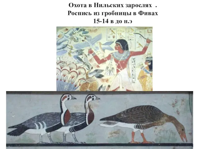 Охота в Нильских зарослях . Роспись из гробницы в Фивах 15-14 в до н.э