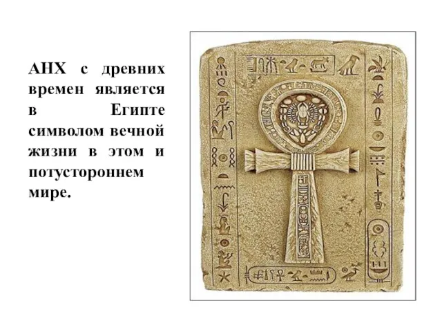 АНХ с древних времен является в Египте символом вечной жизни в этом и потустороннем мире.