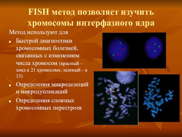 FISH метод позволяет изучить хромосомы интерфазного ядра Метод используют для