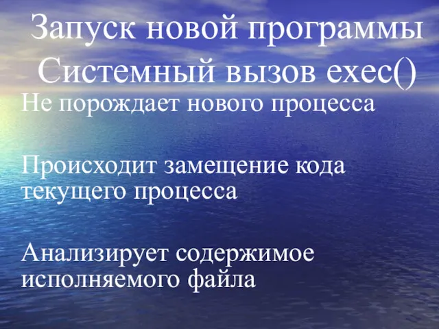 Запуск новой программы Системный вызов exec() Не порождает нового процесса