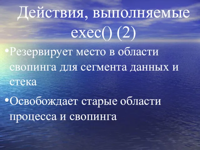 Действия, выполняемые exec() (2) Резервирует место в области свопинга для