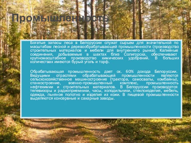 Промышленность Богатые запасы леса в Белоруссии служат сырьем для значительной
