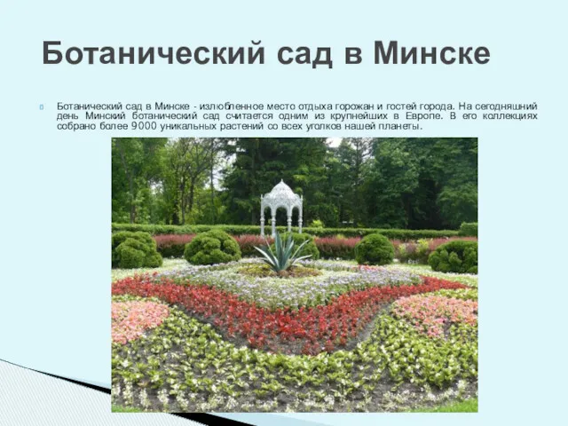 Ботанический сад в Минске Ботанический сад в Минске - излюбленное