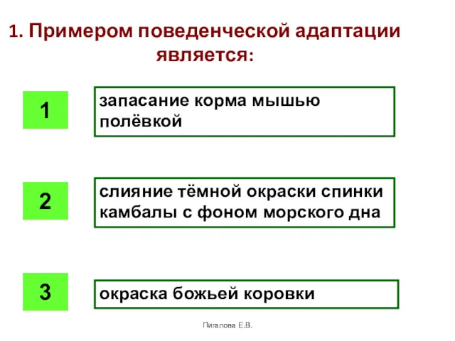 Пигалова Е.В. 1. Примером поведенческой адаптации является: запасание корма мышью