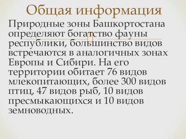 Природные зоны Башкортостана определяют богатство фауны республики, большинство видов встречаются