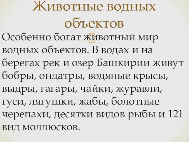 Особенно богат животный мир водных объектов. В водах и на