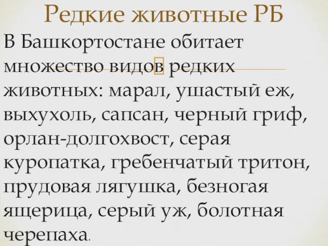 В Башкортостане обитает множество видов редких животных: марал, ушастый еж,